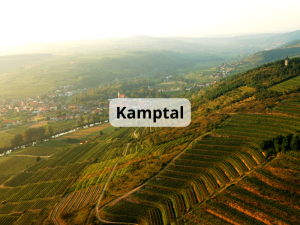 Kamptal (800 x 600 px)